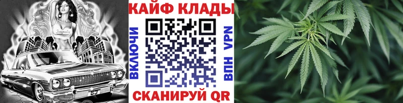 Где найти наркотики Новосиль Конопля  Галлюциногенные грибы  Гашиш  МЕФ 