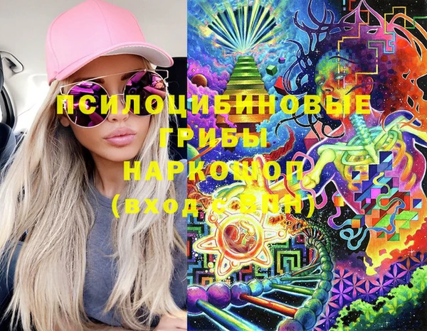 spice Бронницы