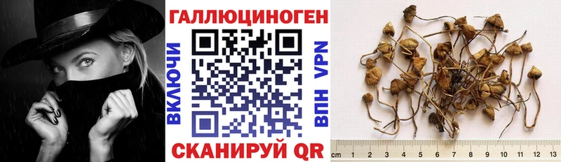 Галлюциногенные грибы GOLDEN TEACHER  сколько стоит  Новосиль 